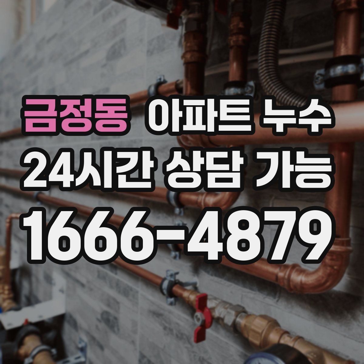 금정동 아파트 누수 다용도실 벽 변색 방치하면 커지는 이유와 대응 요령