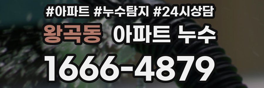 왕곡동 누수탐지