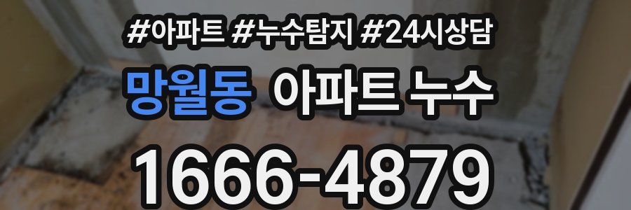 망월동 누수탐지