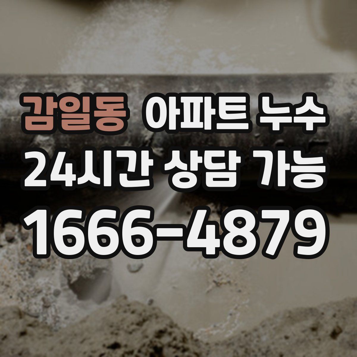 감일동 아파트 누수탐지