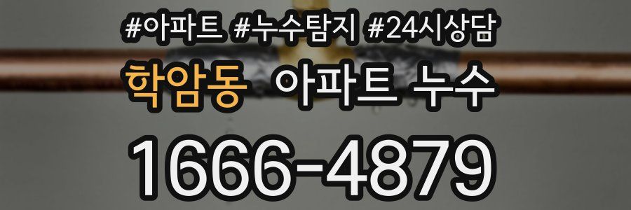 학암동 누수탐지