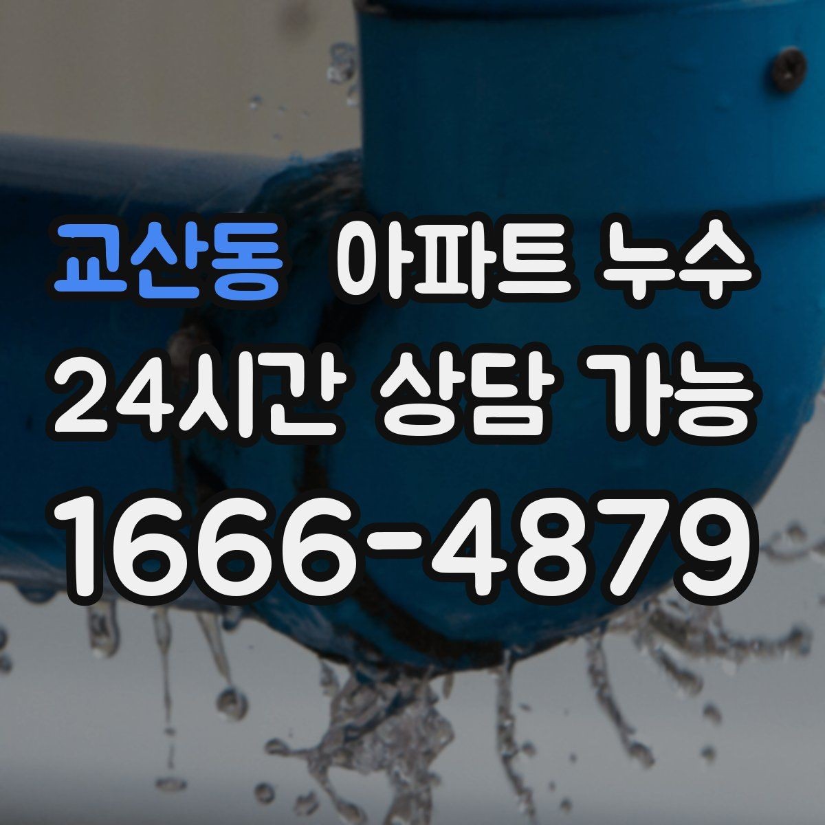 교산동 아파트 누수 천장 물방울 커지기 전 사진 기록 체크