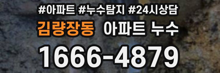 김량장동 누수탐지