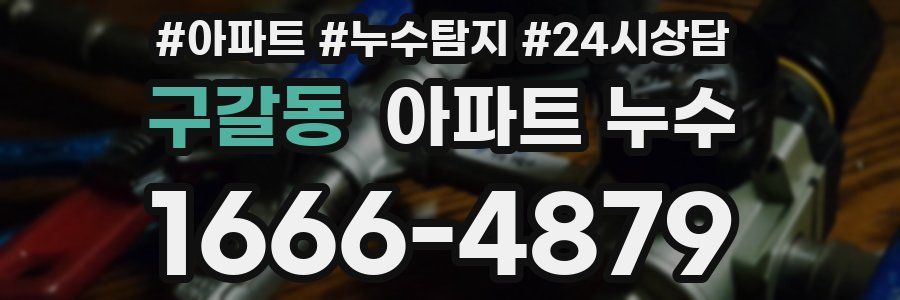 구갈동 누수탐지