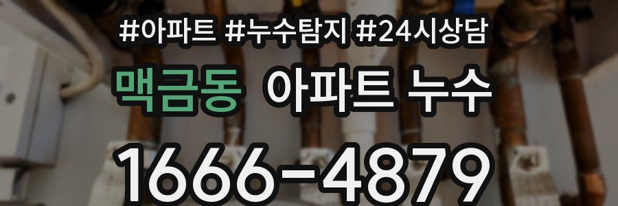 맥금동 누수탐지