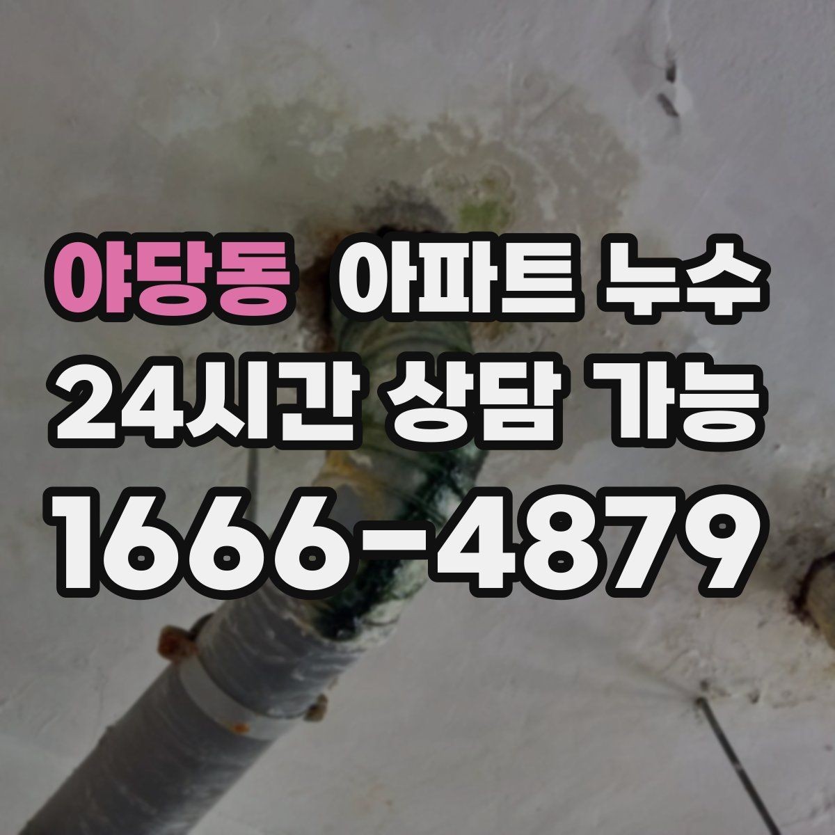 야당동 아파트 누수 도배지 갈색 라인 보이면 현장 체크부터 정리