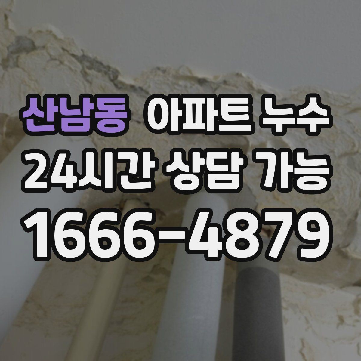 산남동 아파트 누수 바닥이 미끄럽게 변할 때 의심 신호