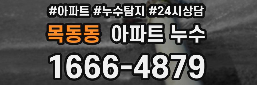 목동동 누수탐지