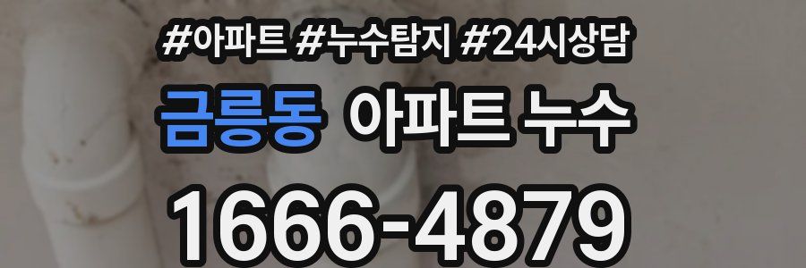 금릉동 누수탐지