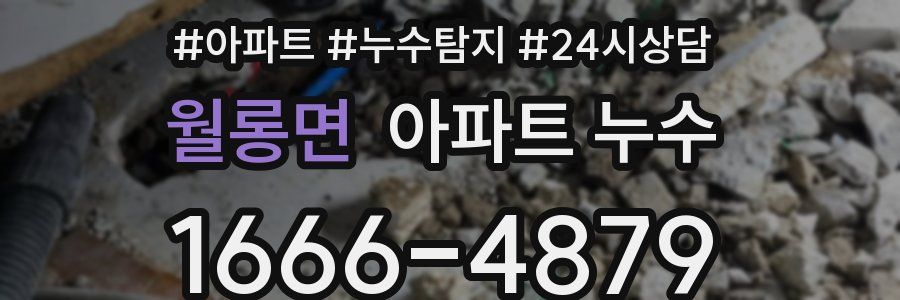 월롱면 누수탐지