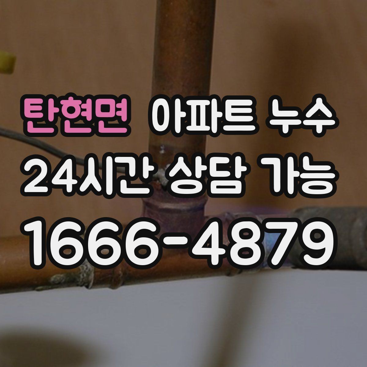 탄현면 아파트 누수 결로로 오해해 늦어지는 사례 정리