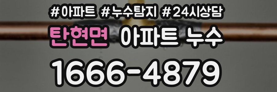 탄현면 누수탐지