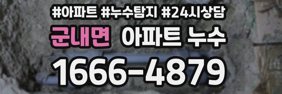 군내면 누수탐지