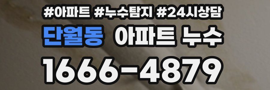 단월동 누수탐지