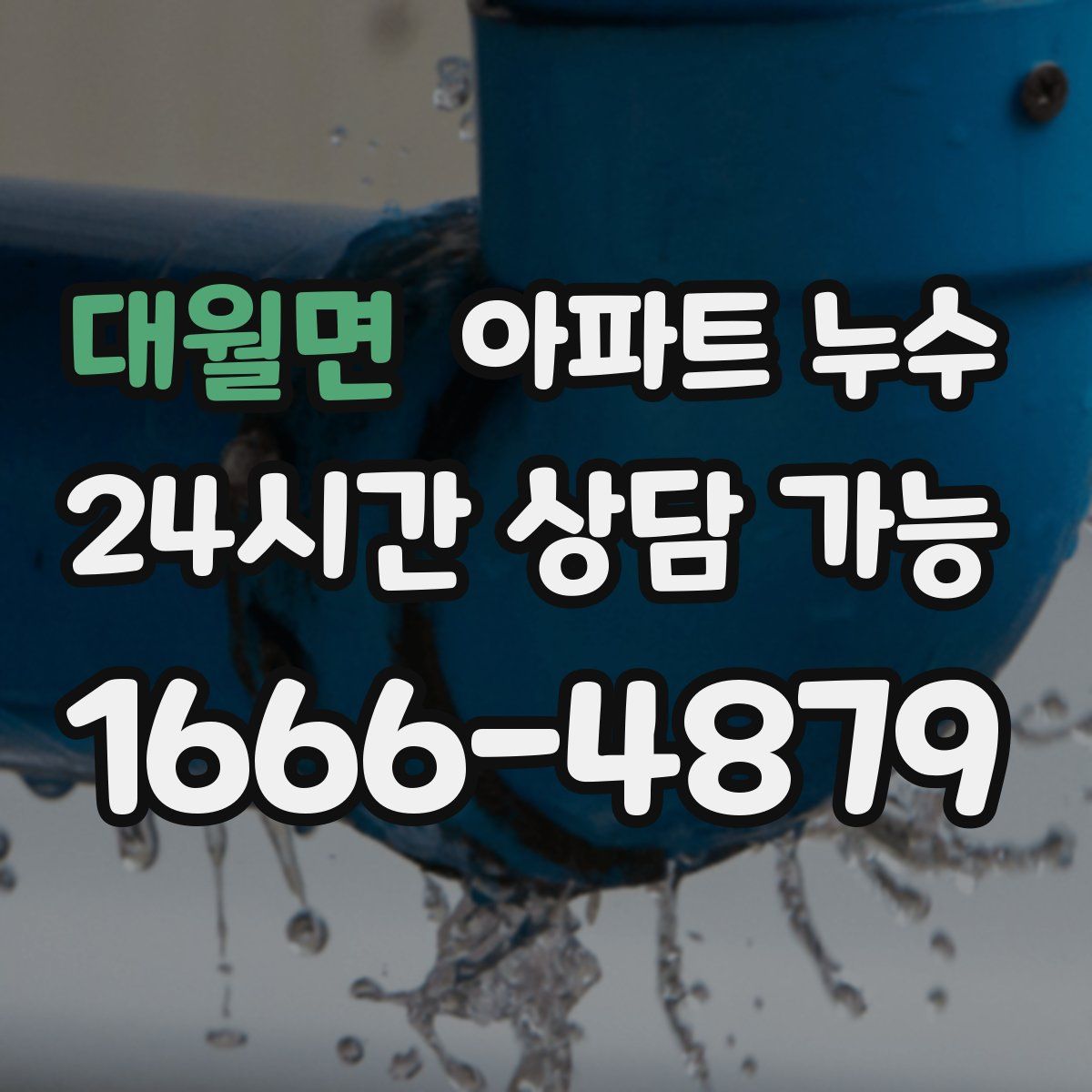 대월면 아파트 누수탐지