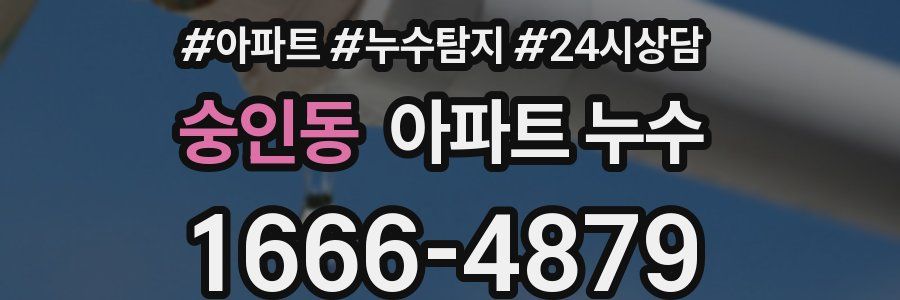 숭인동 누수탐지