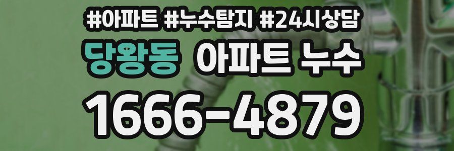 당왕동 누수탐지