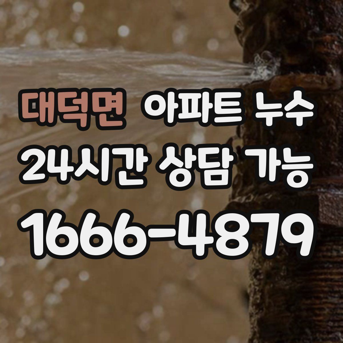 대덕면 아파트 누수 장판 아래 냄새가 올라올 때