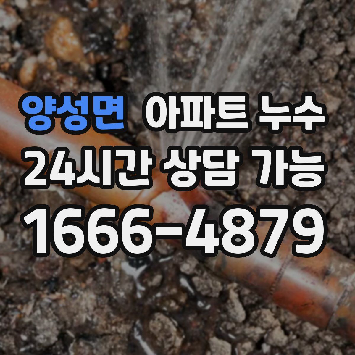 양성면 아파트 누수탐지