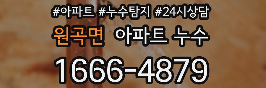 원곡면 누수탐지