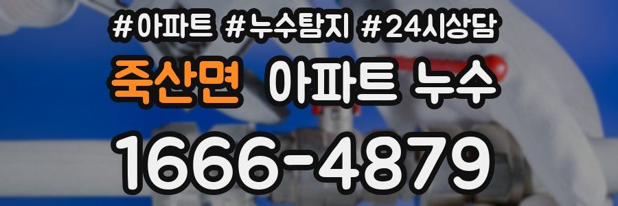 죽산면 누수탐지