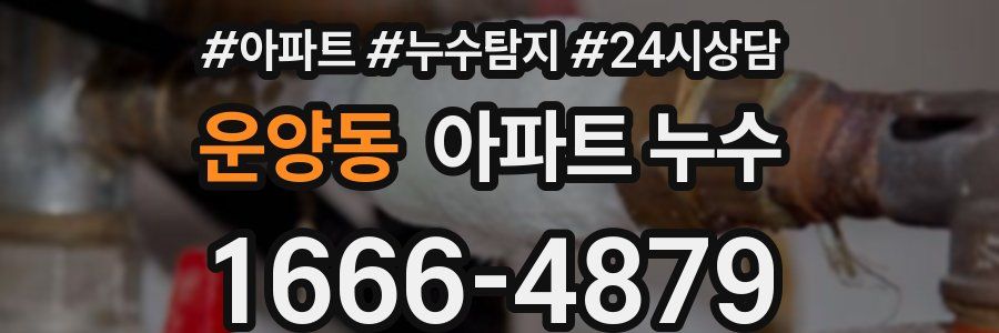 운양동 누수탐지