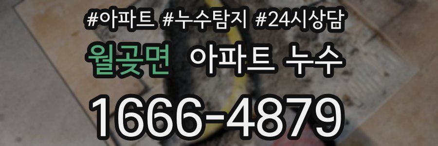 월곶면 누수탐지