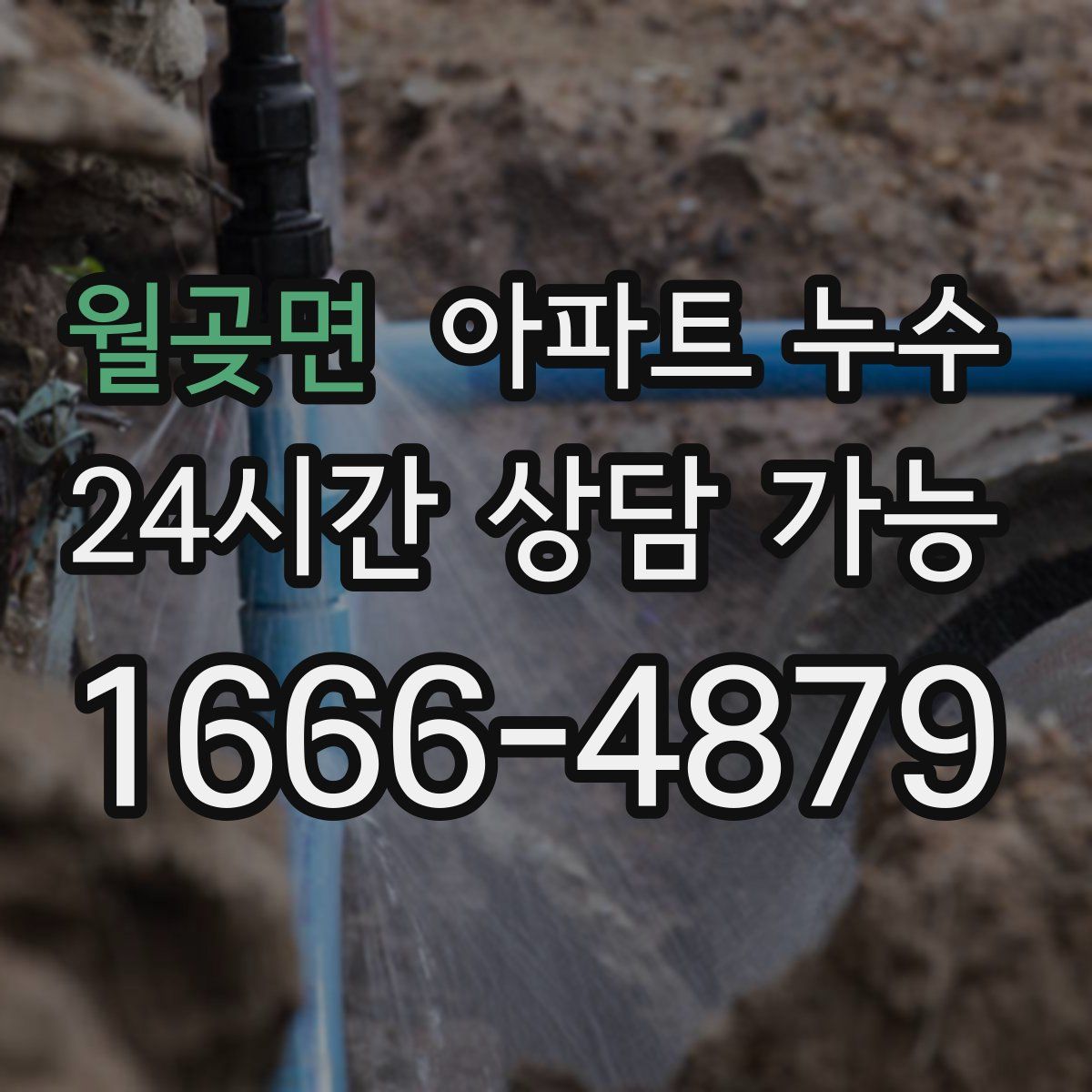 월곶면 아파트 누수탐지