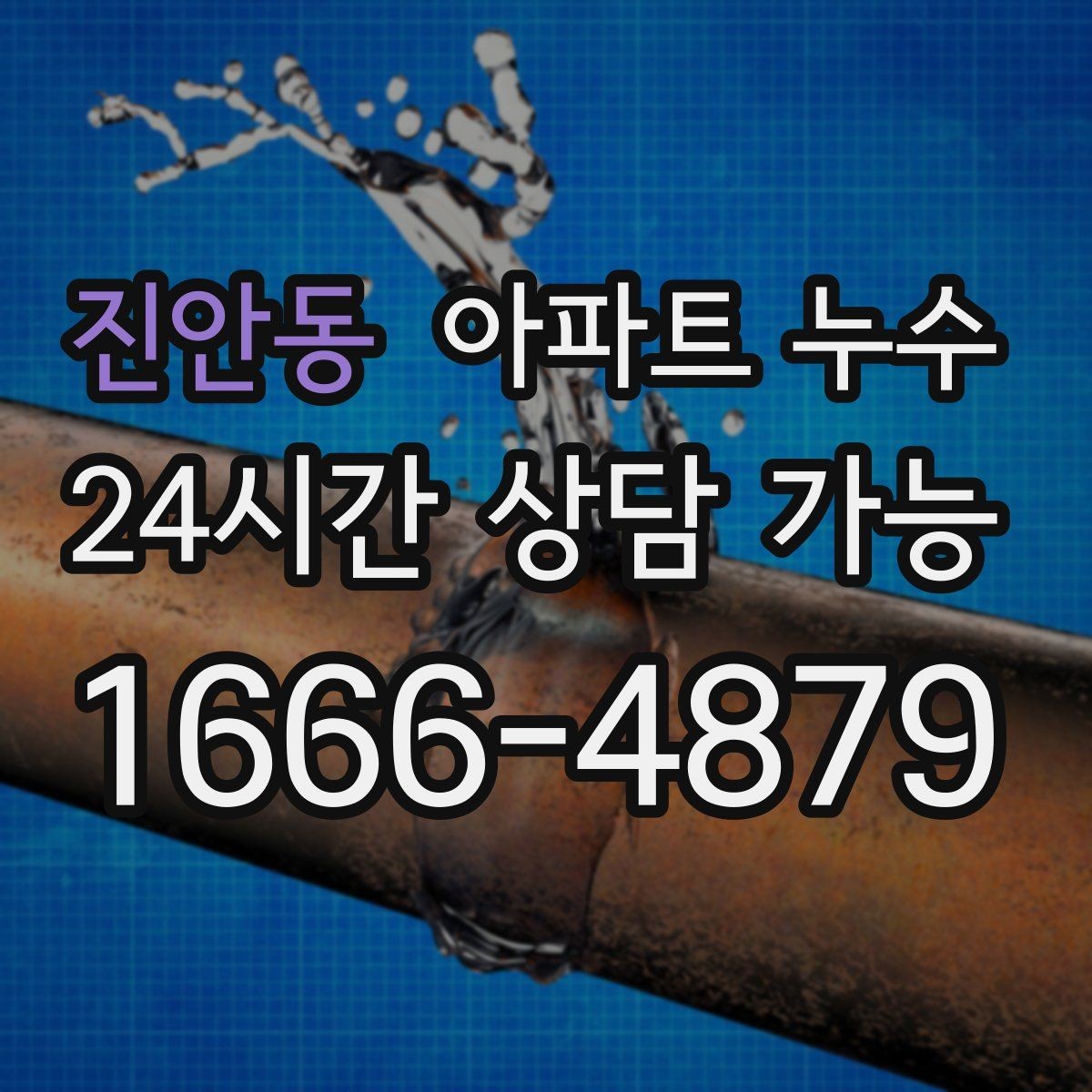 진안동 아파트 누수 다용도실 냄새 커지기 전 현장 체크