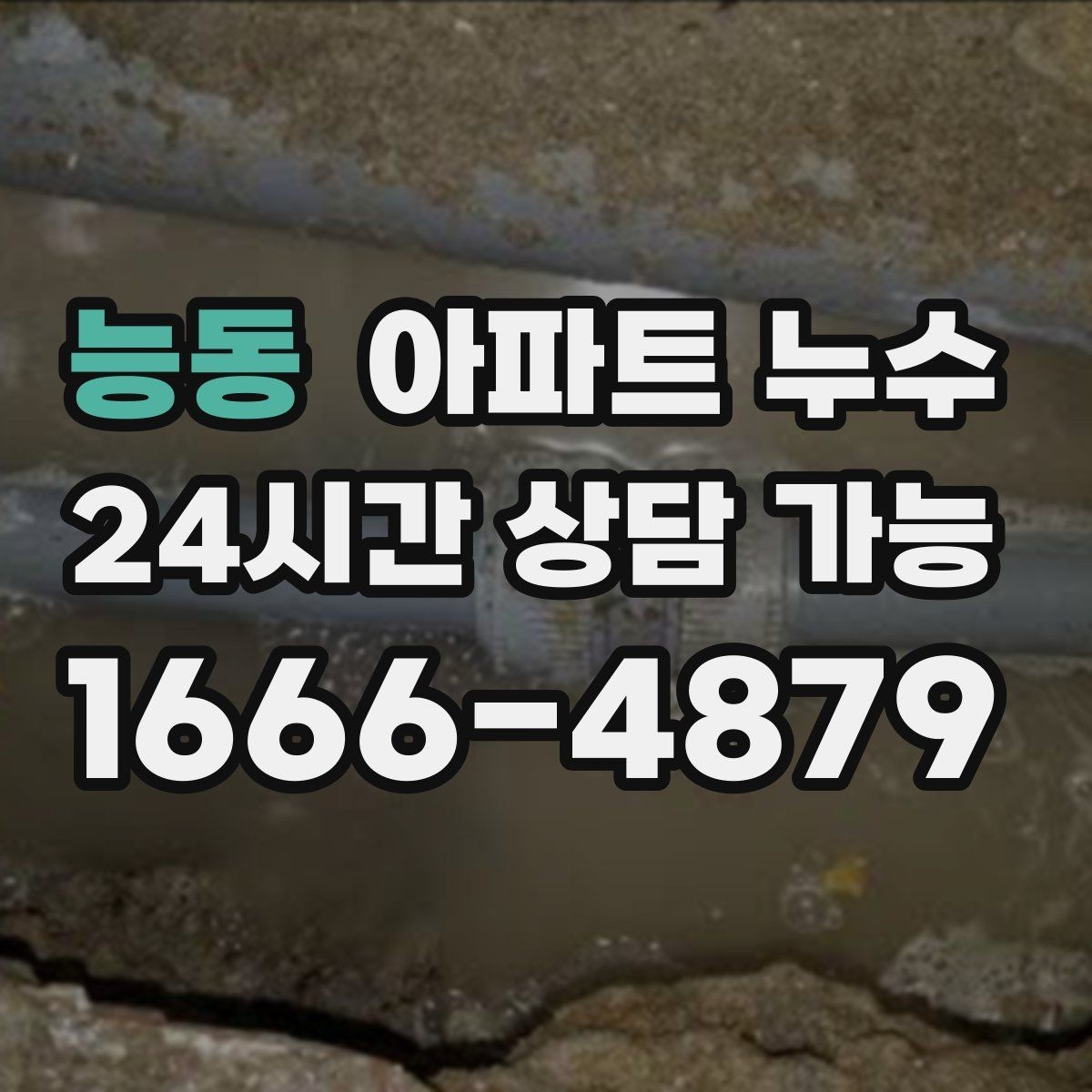 능동 아파트 누수 벽 모서리 곰팡이 커지기 전 현장 체크