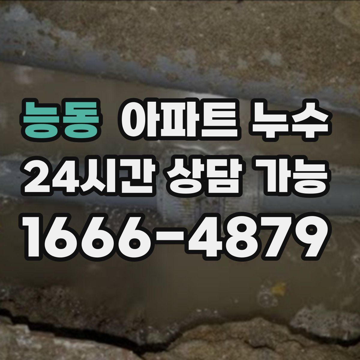 능동 아파트 누수탐지