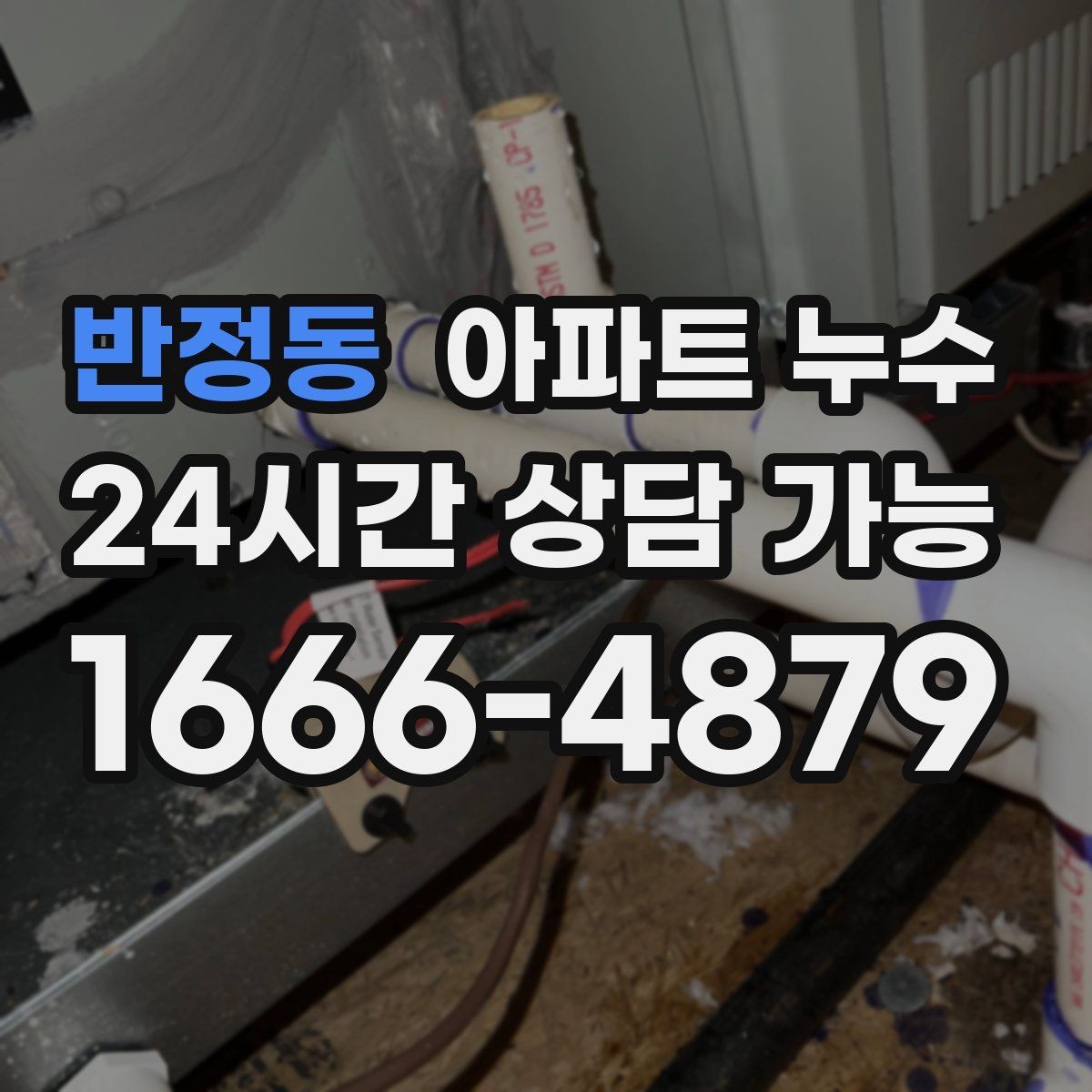 반정동 아파트 누수 벽지 끝선이 검게 변할 때