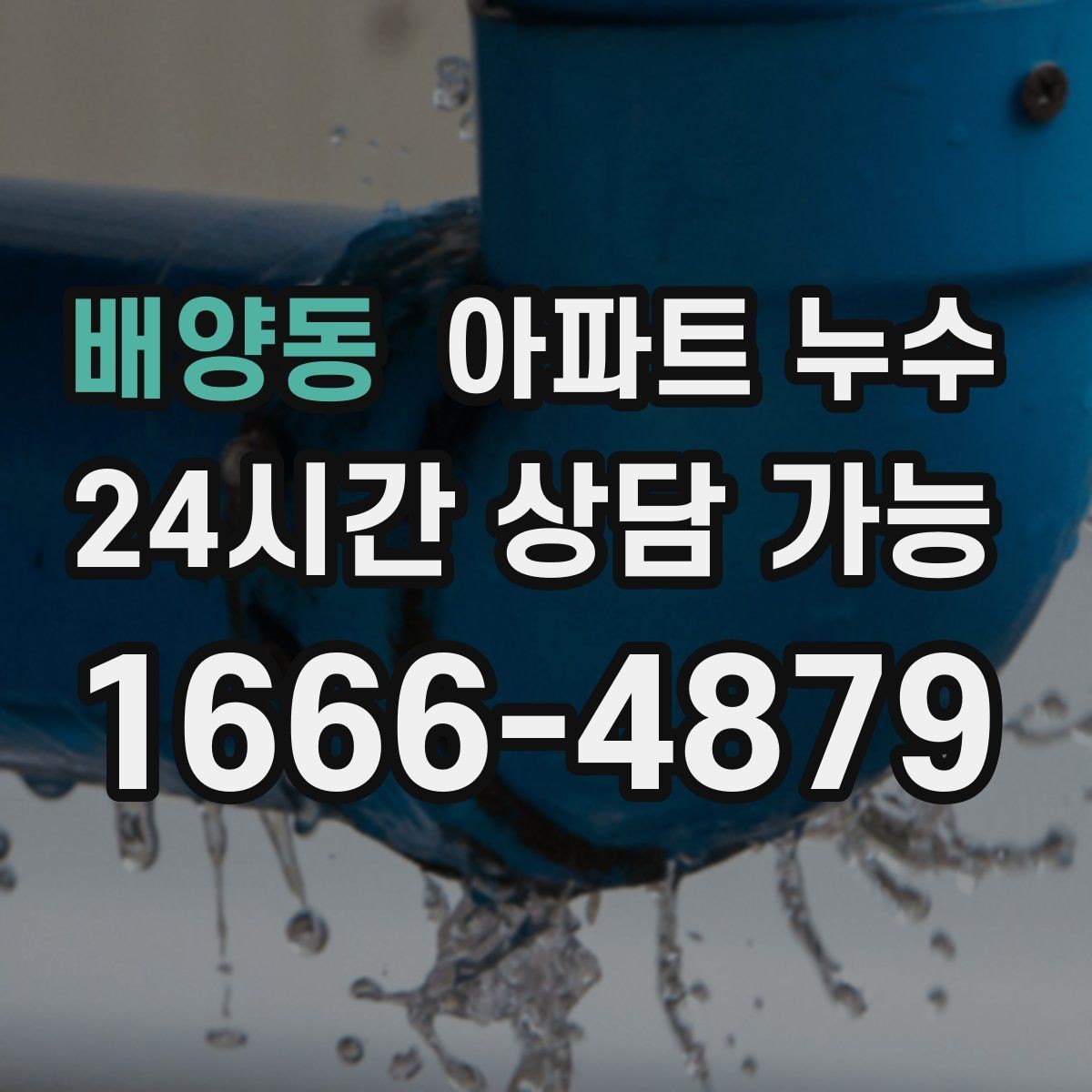 배양동 아파트 누수 베란다 물기 남을 때 확인할 지점
