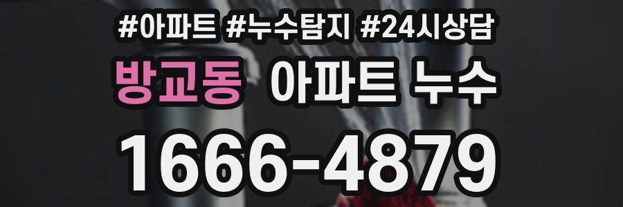 방교동 누수탐지