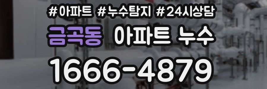 금곡동 누수탐지