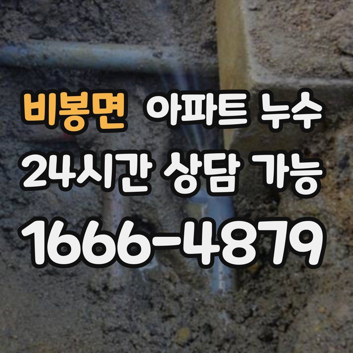 비봉면 아파트 누수 벽면 페인트가 하얗게 들뜨는 증상