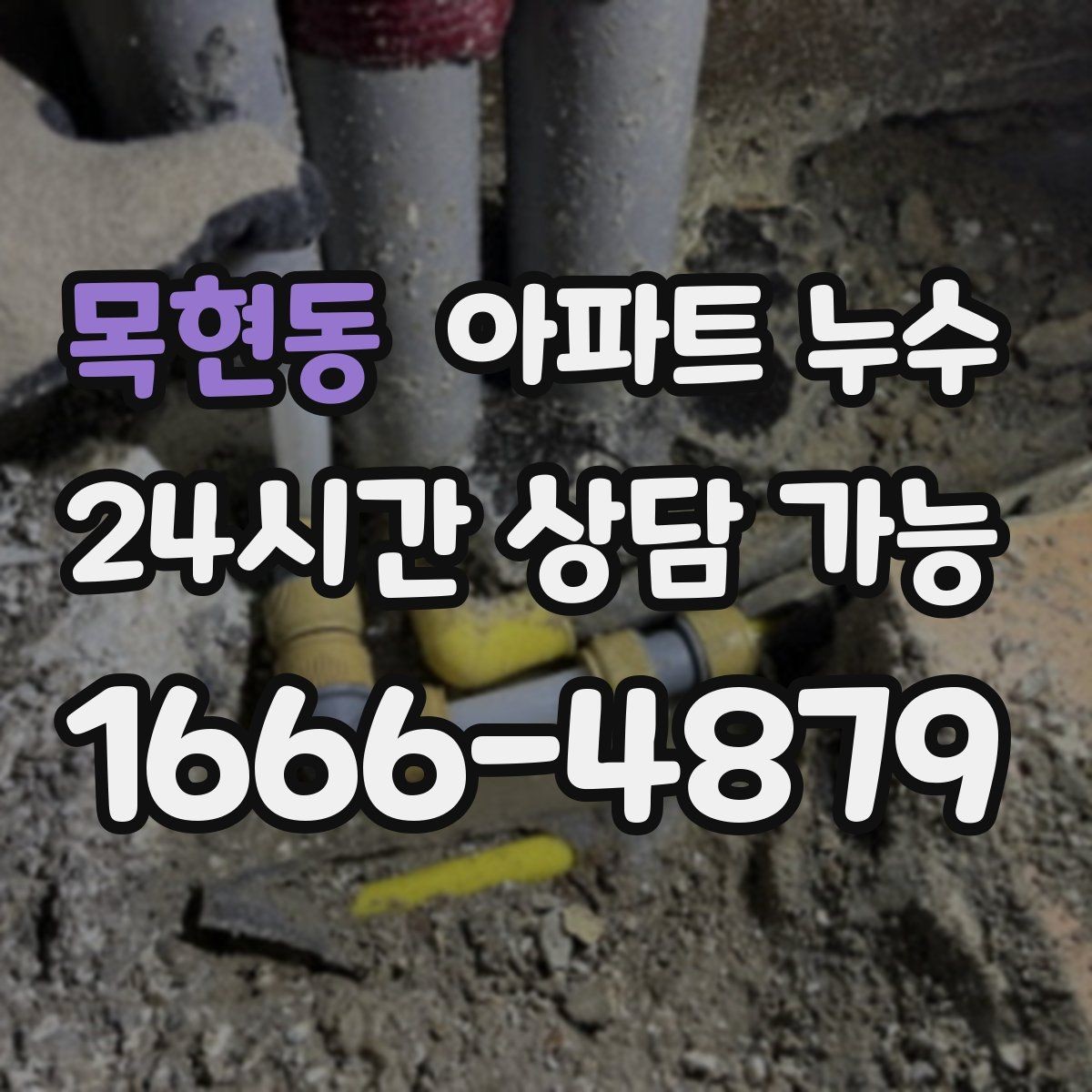 목현동 아파트 누수 신발장 주변 습기 방치하면 커지는 이유와 피해 최소화