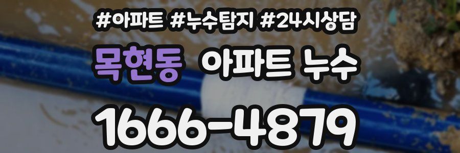 목현동 누수탐지