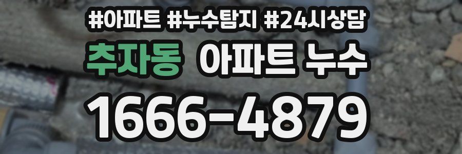 추자동 누수탐지