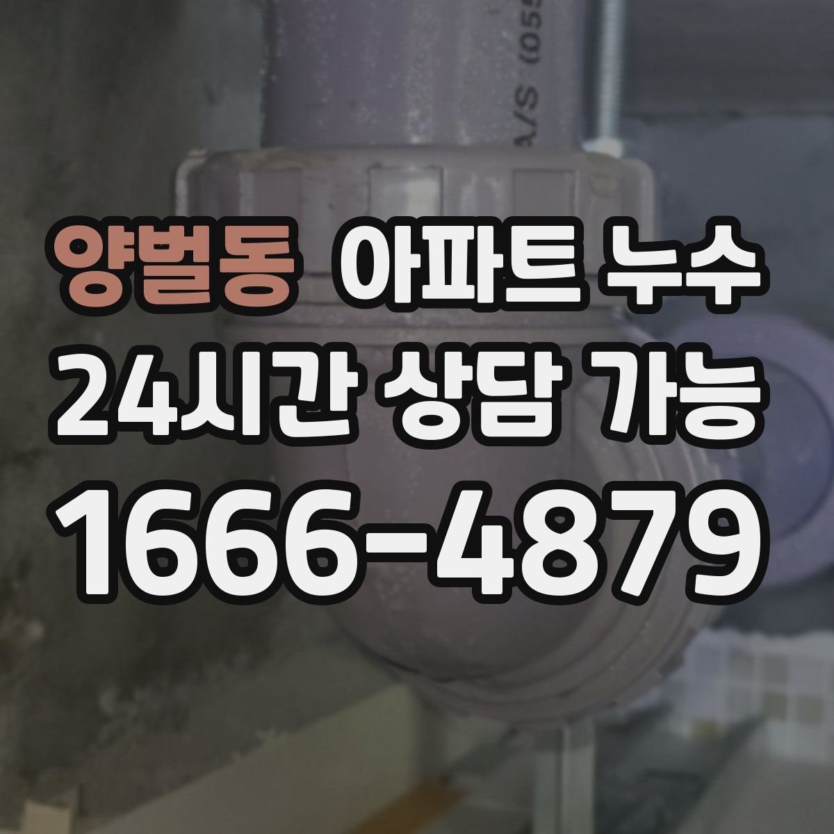 양벌동 아파트 누수탐지