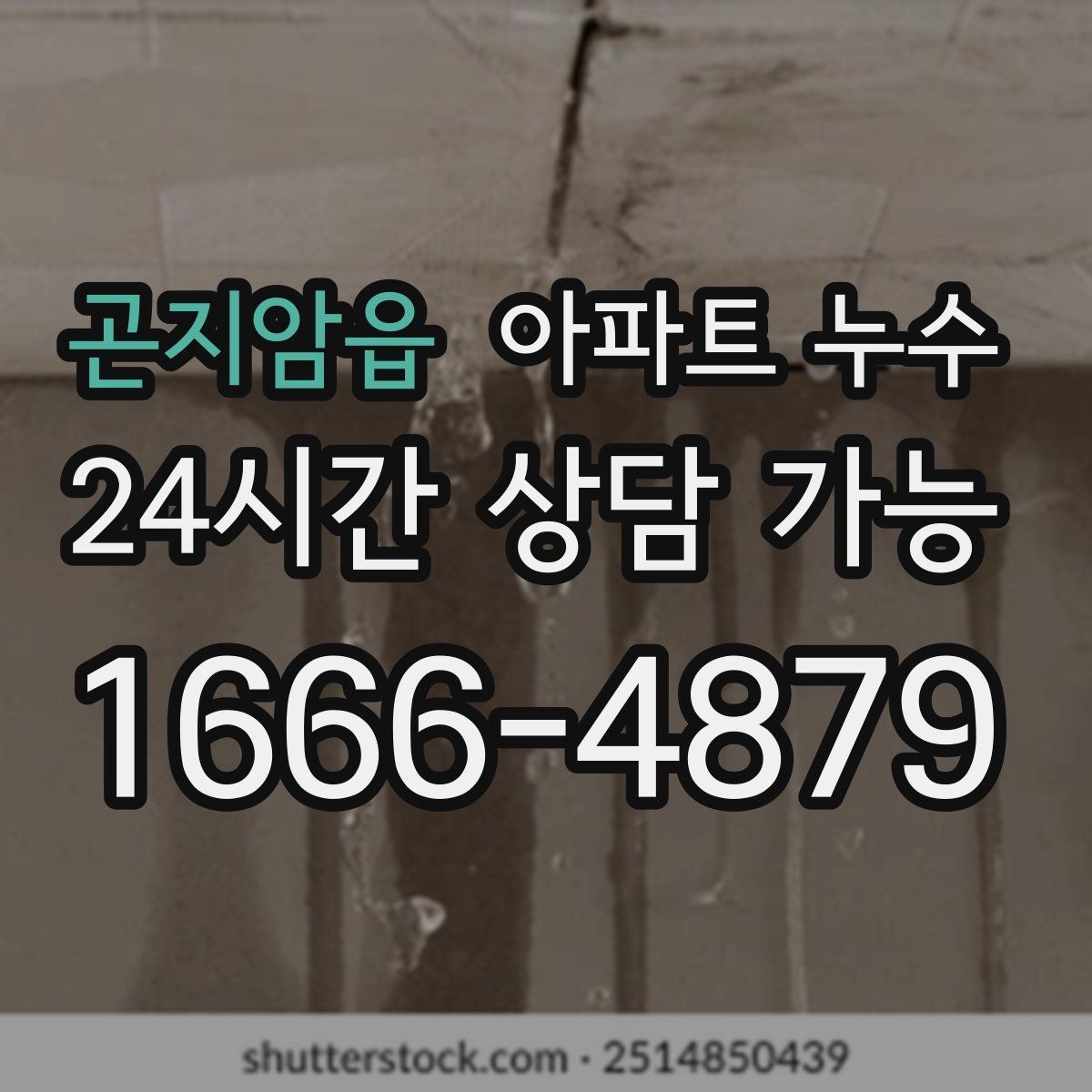 곤지암읍 아파트 누수 벽지 들뜸이 시작되면 점검이 우선
