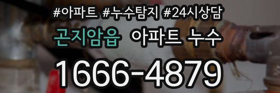 곤지암읍 누수탐지