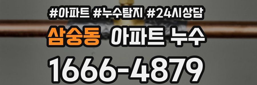 삼숭동 누수탐지