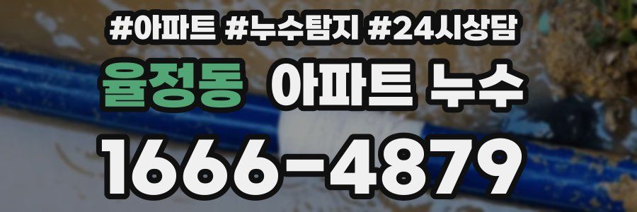 율정동 누수탐지