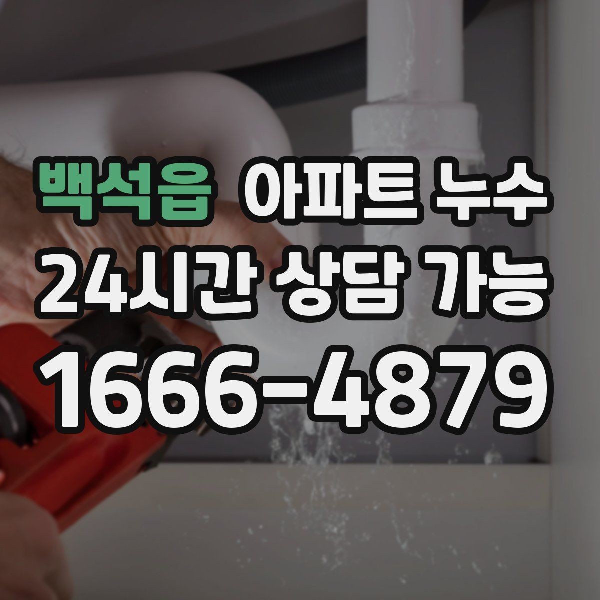 백석읍 아파트 누수 현관 주변 젖음 방치하면 커지는 이유와 재발 방지