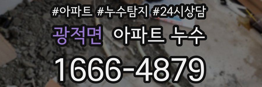 광적면 누수탐지