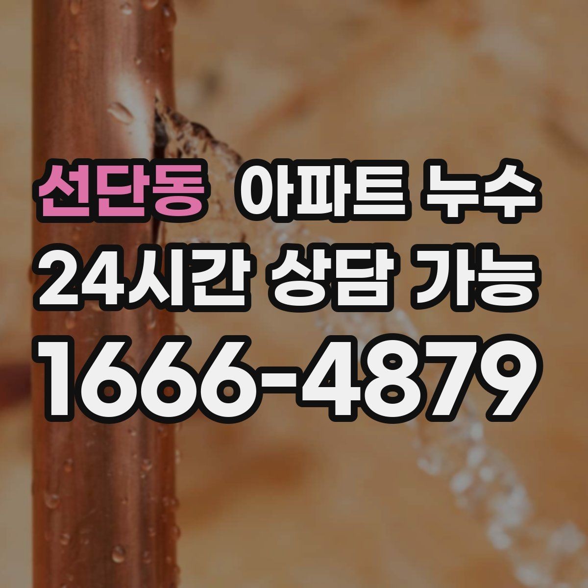 선단동 아파트 누수 전등 주변 변색이 보이면 위험 신호