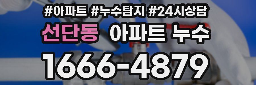 선단동 누수탐지