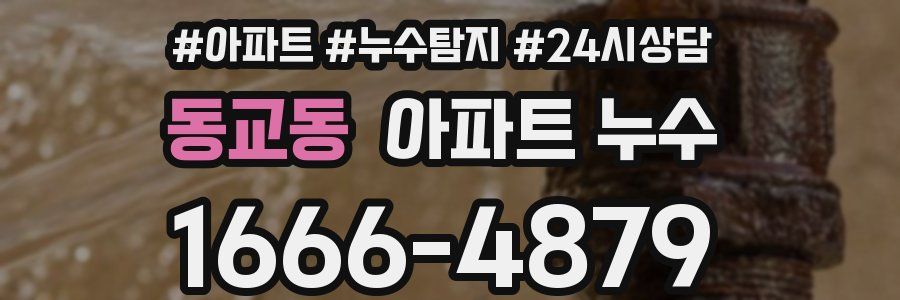 동교동 누수탐지