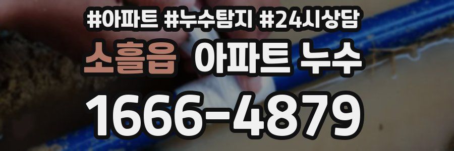 소흘읍 누수탐지